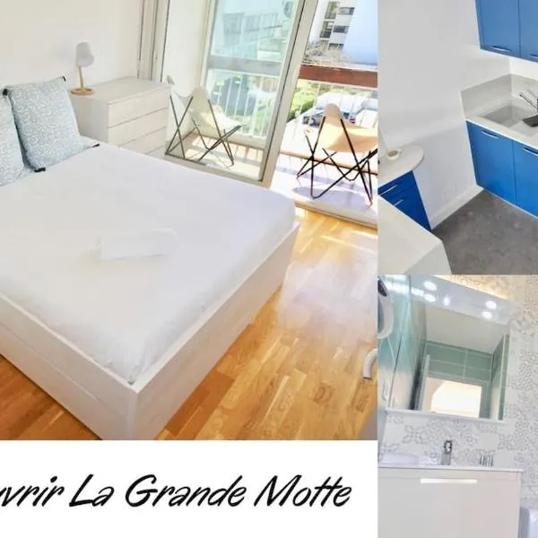 Le Cormorans N13 appartement centre ville，位于拉格朗德默特的酒店