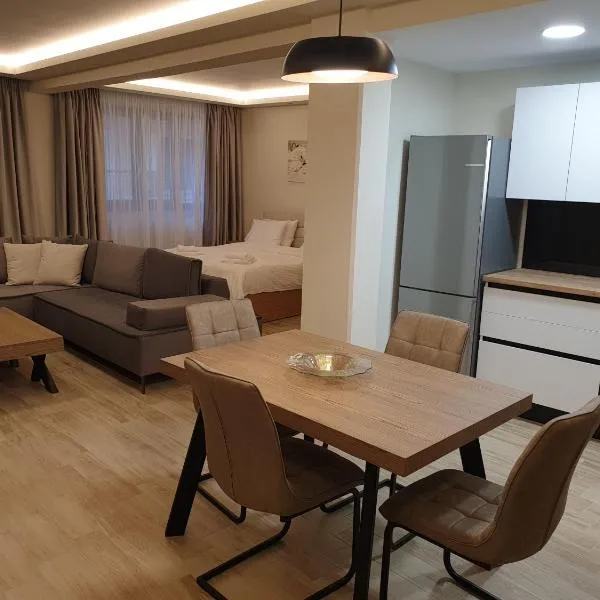 Olive Deluxe Apartment，位于卡尔季察的酒店