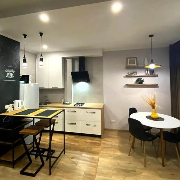 Stylish apartment in the historic center，位于Snov'yanka的酒店