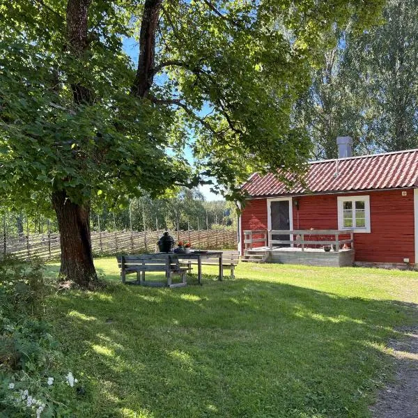 Highnoon Westernranch guesthouse，位于Håvra的酒店