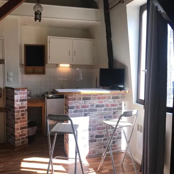 Appartement en duplex situé à la limite TOURS，位于圣皮耶尔代科尔普的酒店