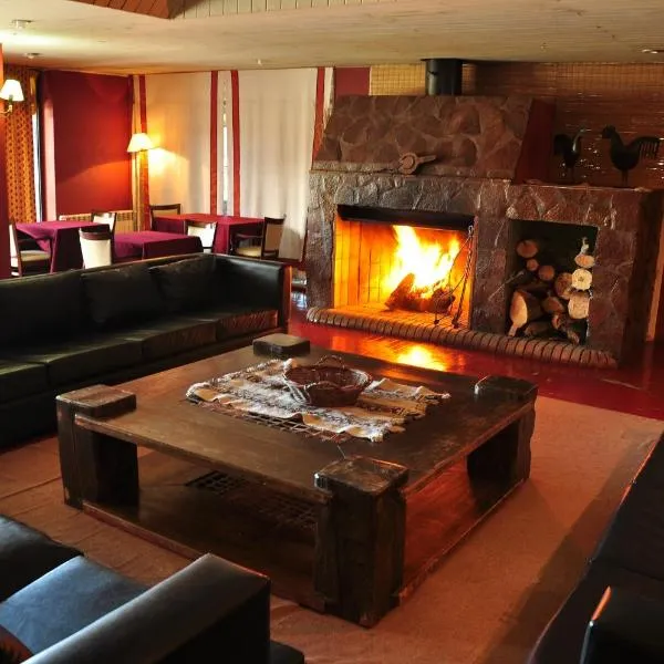 Hotel y Cabañas del Nevado，位于科帕韦的酒店