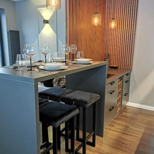 Apartament Raciborska 1，位于克拉科夫的酒店