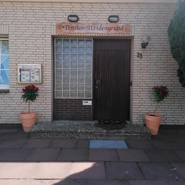 Pension Weidengrund，位于霍登哈根的酒店