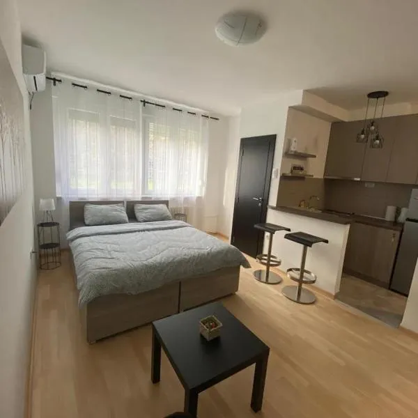 Vist 1 apartment，位于Tošin Bunar的酒店