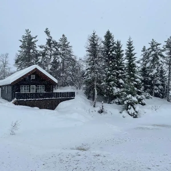 Holiday cottage with sauna close to Kjeragbolten，位于Tjørhom的酒店