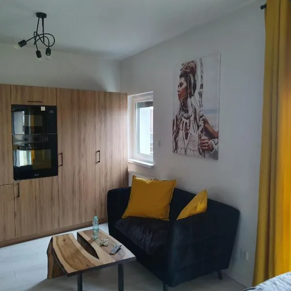 Apartament Słoneczny Sienkiewicza 3A，位于莱什诺的酒店