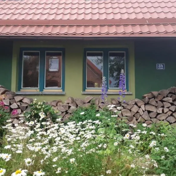 Zielony Domek w Sztynorcie，位于Sztynort的酒店