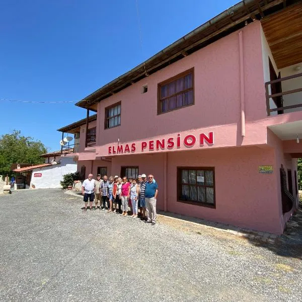 Elmas Pansiyon，位于Karacasu的酒店