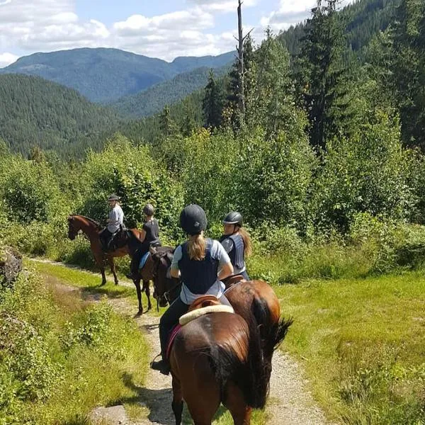 River Run Ranch - Telemark，位于弗罗达尔的酒店