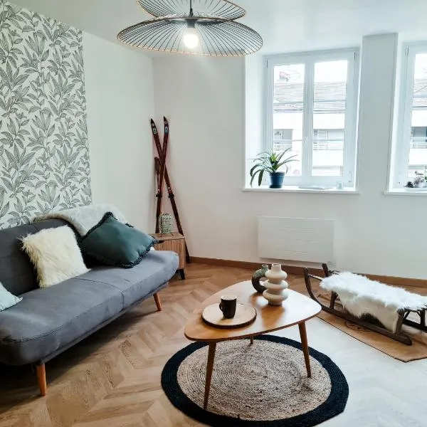 Les Marmottons appartement cosy，位于蓬塔利耶的酒店