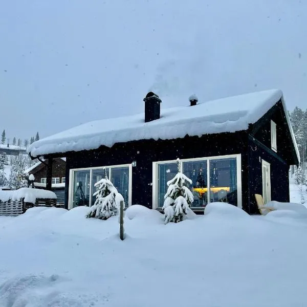 Great cabin in Hemsedal wifi golf ski eldorado，位于高尔的酒店