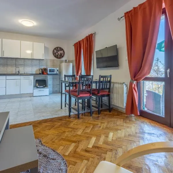 Apartments Opacak Selce，位于塞尔瑟的酒店