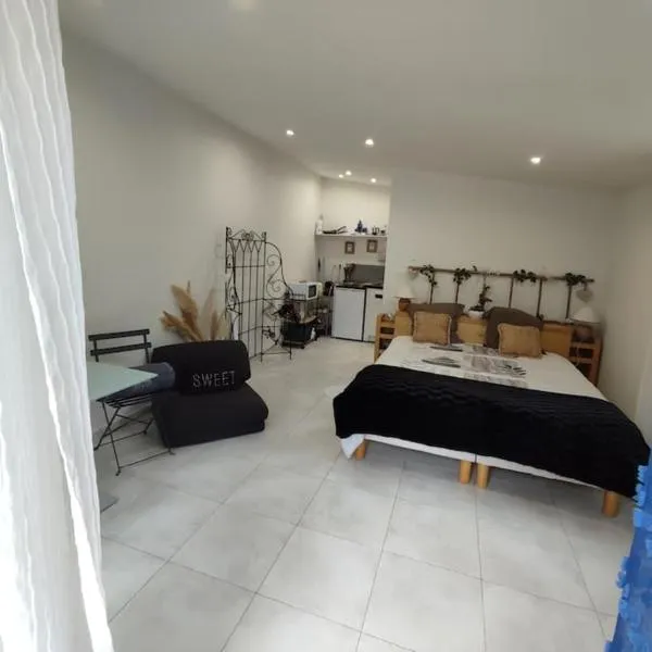 Studio indépendant dans villa, parking gratuit.，位于卡斯泰尔诺勒莱的酒店