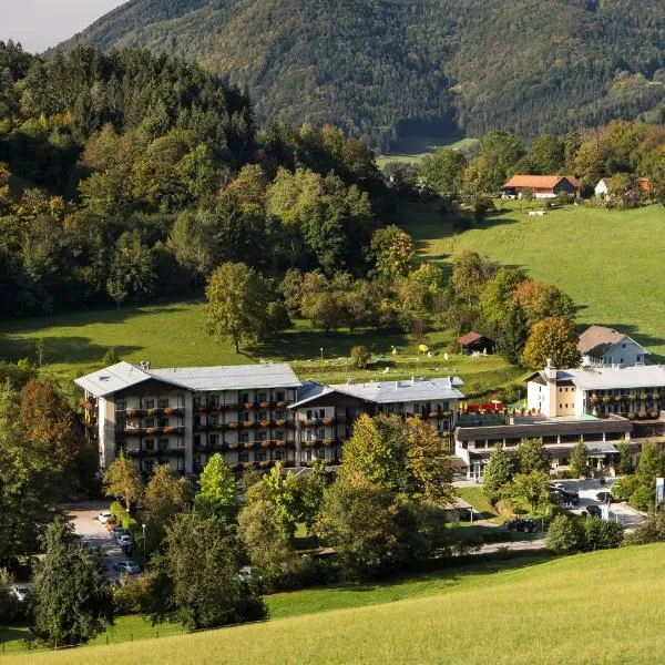 Gesundheits- & Wellnessresort Salzerbad，位于Kleinzell的酒店