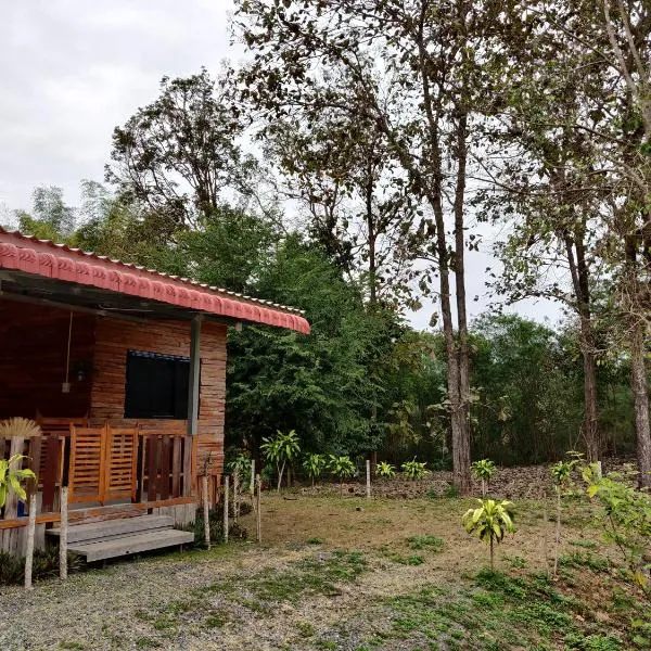 สายฝนการ์เด้น，位于湄安的酒店