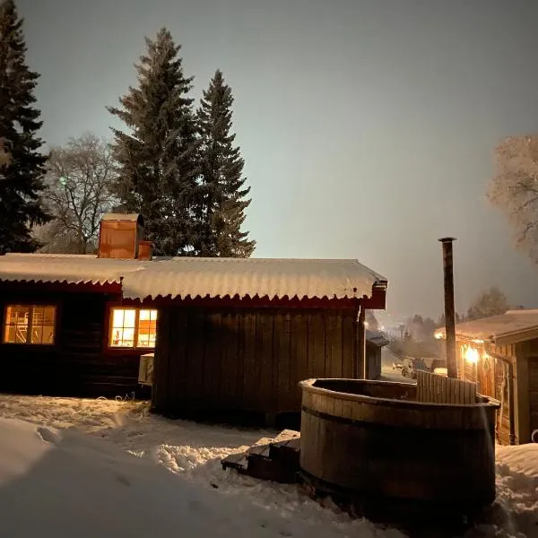 Cozy cabin with an amazing view，位于Äre的酒店