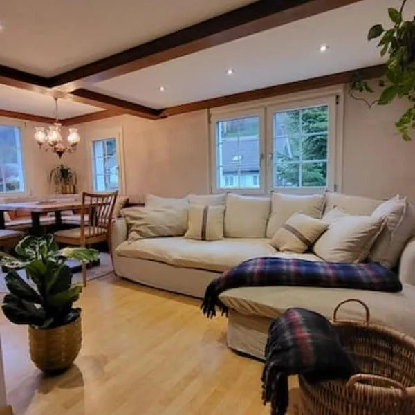 Cosy Family House，位于Alt Sankt Johann的酒店