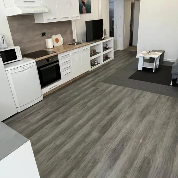 Apartman Infinity，位于Podgarić的酒店