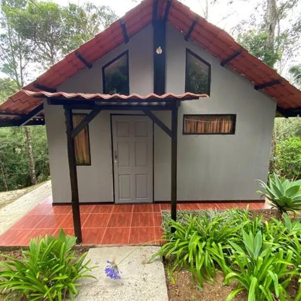 Koi's House - Quebradillas de Dota，位于Santa María的酒店