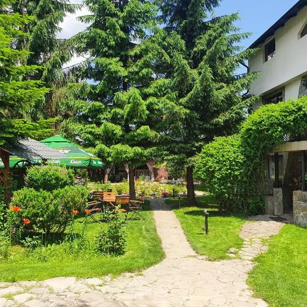 Vila Karina，位于Negraşu的酒店
