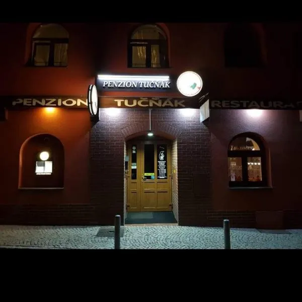 Penzion Tučňák，位于Hoštejn的酒店