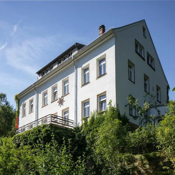 Burg Schöna - Suiten und Zimmer，位于Reinhardtsdorf的酒店