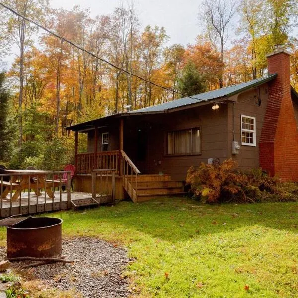 Salmon Creek Cabin - Allegheny National Forest，位于Marienville的酒店