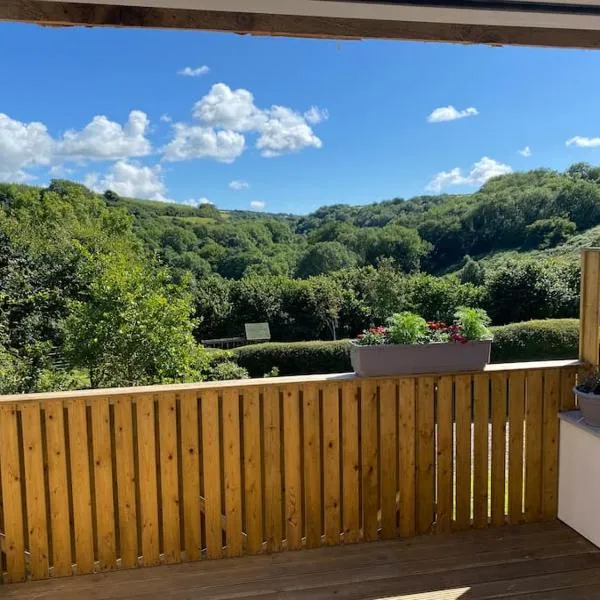 Sunny Nook, Pretty 1 bed modern cottage close to Woolacombe，位于伊尔弗勒科姆的酒店