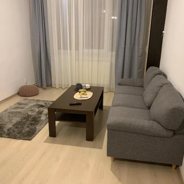 Confort Apartment，位于梅迪亚什的酒店