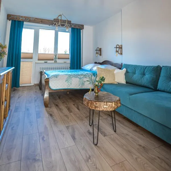 Apartament Zielony Ruczaj w Cisnej，位于齐斯纳的酒店