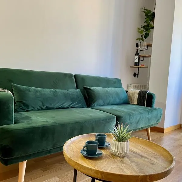 Tenor Apartamento inc Parking，位于图德拉的酒店