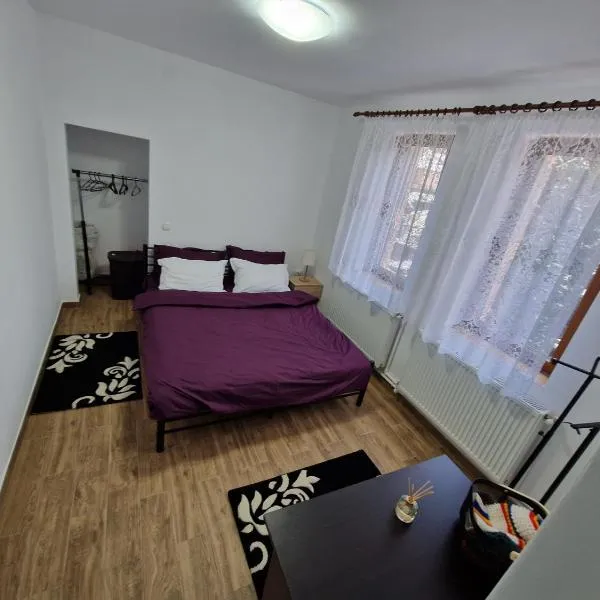 Apartamentul Florilor de Fân，位于阿祖加的酒店