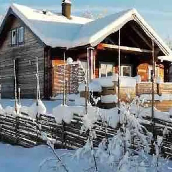 Cabin in Bruksvallarna，位于菲奈斯达伦的酒店