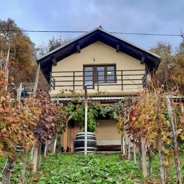 Vineyard cottage Kulovec，位于Komarna Vas的酒店