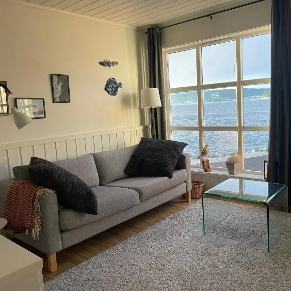 Spacious apartment with view over the trondheimfjord，位于Vangshylla的酒店