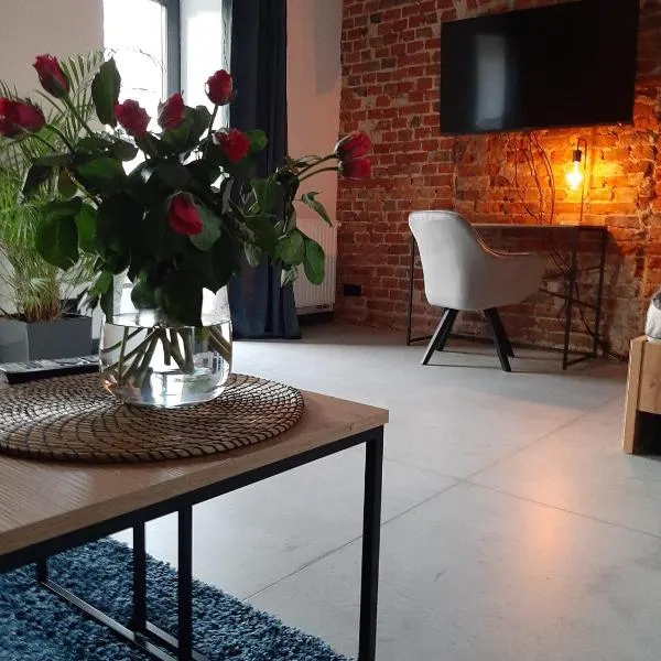 Apartamenty Gliwice Staromiejska 65，位于格利维采的酒店