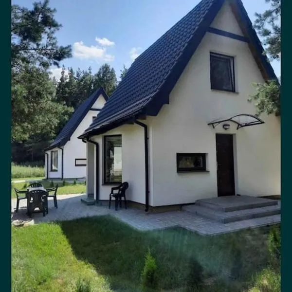 Uroczy domek na Mazurach, Pilec 59，位于Worpławki的酒店