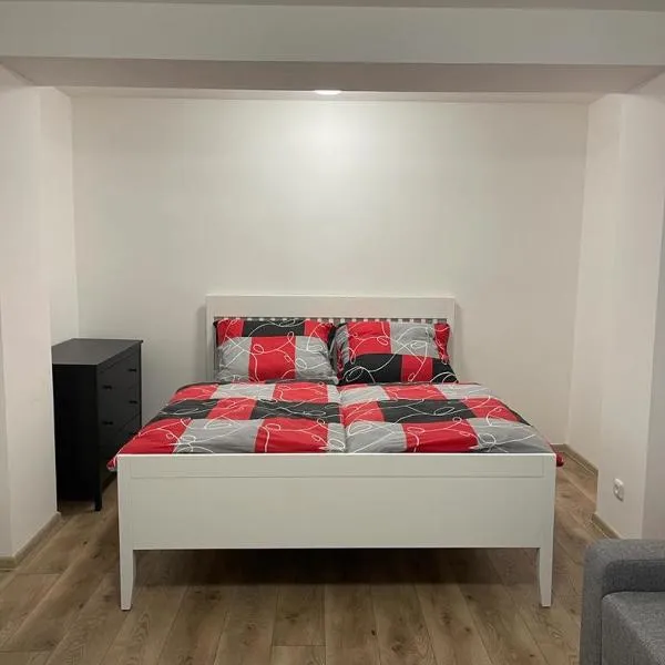 Apartment Patera 2，位于Nová Ves v Horách的酒店