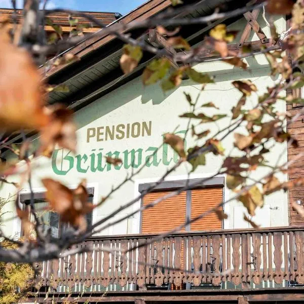 Pension Grünwald，位于索尔登的酒店