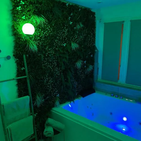 L'extasia appartement,spa jacuzzi Grenoble，位于格勒诺布尔的酒店
