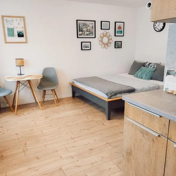 Suite 13 Apartment mit Netflix，位于Maxhütte-Haidhof的酒店