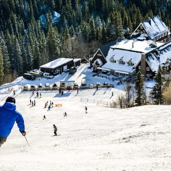菲耶加尔登滑雪进出酒店，位于迪韦德的酒店