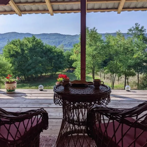 Casa Tranquila，位于Bălceşti的酒店