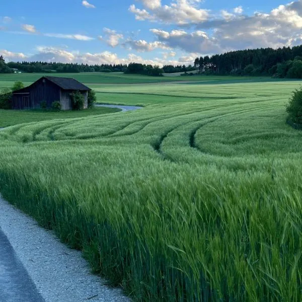 Ferienwohnung Naturpark Schwarzwald，位于勒芬根的酒店