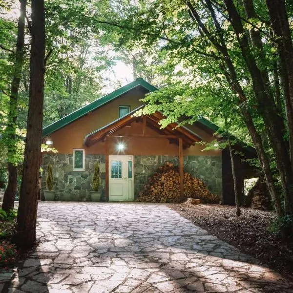 Villa Mihajlovo，位于卡瓦达尔奇的酒店