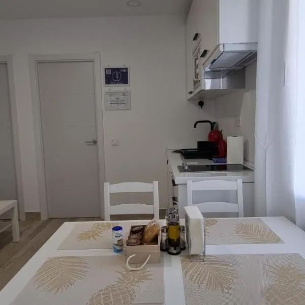 APARTAMENTOS TANEZ SANTURCE a，位于埃纳雷斯河畔圣费尔南多的酒店