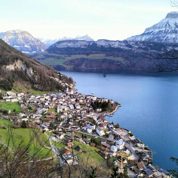Camenzind，位于盖尔绍的酒店