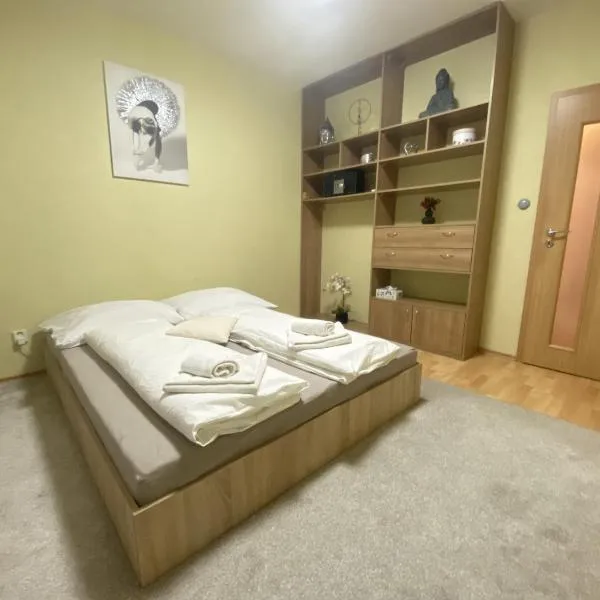 ARD City Apartment，位于Nový Tekov的酒店