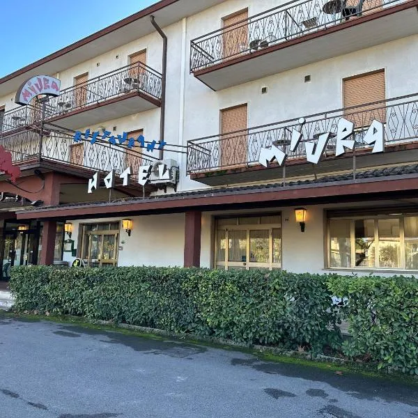 Hotel Miura，位于Salionze的酒店